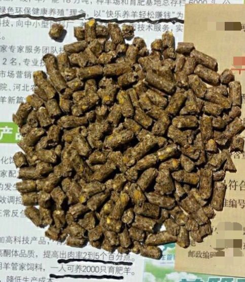 成年母羊精料補充料